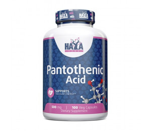 Haya Labs Pantothenic Acid 500mg 100vcaps