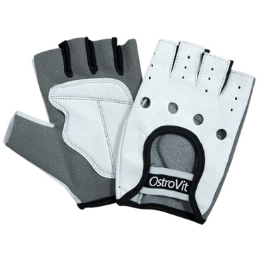 OstroVit Men's gloves