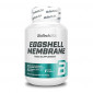 BioTech USA Eggshell Membrane 60caps (Parim enne: 03.2024)