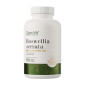 OstroVit Boswellia Serrata VEGE 90vtabs