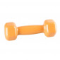 Power System Vinyl Dumbbell 1x1kg