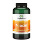 Swanson Niacinamide 250mg 250caps