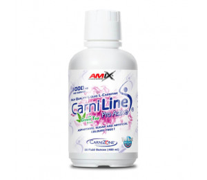 AMIX CarniLine Pro Active 480ml (Parim enne: 10.2020)