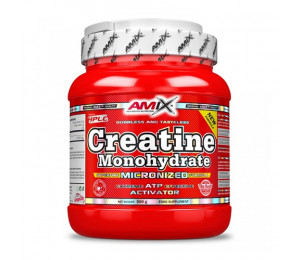 AMIX Creatine Monohydrate Powder 500g