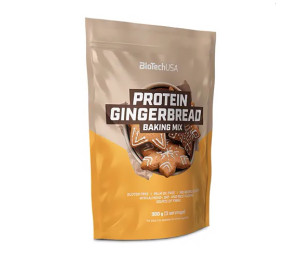 BioTech USA Protein Gingerbread 300g