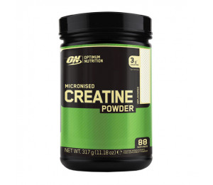 Optimum Nutrition Micronized Creatine Powder, 317g