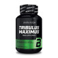 BioTech USA Tribulus Maximus 90tabs