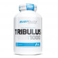 Everbuild Tribulus 1000, 90tabs