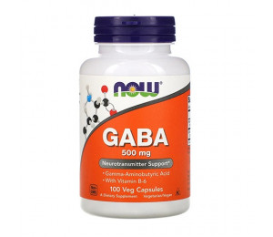 Now Foods GABA 500mg 100vcaps