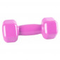 Power System Vinyl Dumbbell 1x2kg