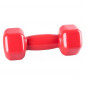 Power System Vinyl Dumbbell 1x3kg