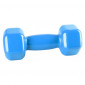 Power System Vinyl Dumbbell 1x4kg